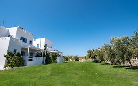 Depis Edem Luxury Villas Naxos